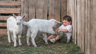 山羊　怒る　おびえる　ホロスコープ　占い　ほろさう