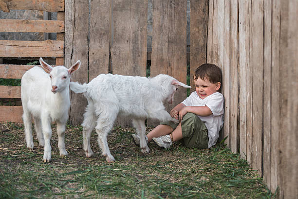 山羊　怒る　おびえる　ホロスコープ　占い　ほろさう