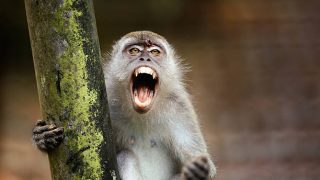 ホロサウ　火星　ホーム　牡羊座　トラブル　活用法