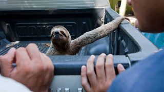 ほろさう 心 心理 怠け癖 捉え方 克服 5つのポイント