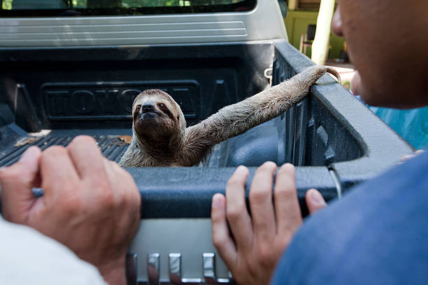 ほろさう　心　心理　怠け癖　捉え方　克服　５つのポイント