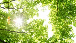 ほろさう　占い　占星術　９月　人間関係　悩み　恋活　婚活　恋愛　夫婦　仕事　天職　適職　性格　相性