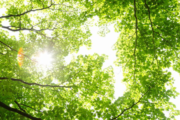 ほろさう　占い　占星術　９月　人間関係　悩み　恋活　婚活　恋愛　夫婦　仕事　天職　適職　性格　相性