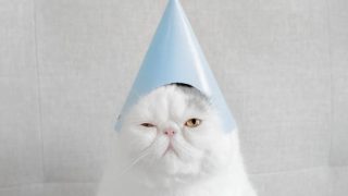 ほろさう　月　海王星　ハードアスペクト　オポジション　エンパス　HSP