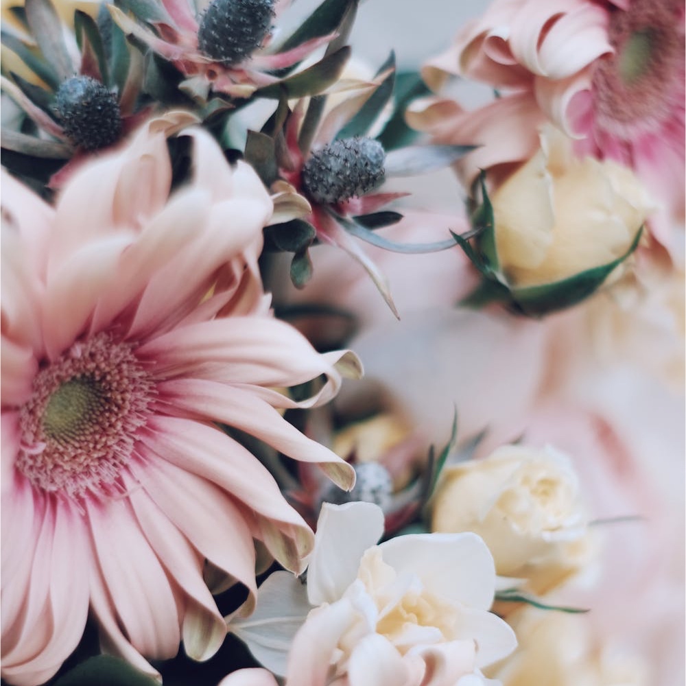 サウ　ほろさう　感想　ホロスコープ　ファッション　スタイリング　オシャレ　コーディネート　星座　第一印象　イメージ　見た目