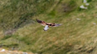 ほろさう　鳥瞰　俯瞰　ホロスコープ　30度　ピュアな度数　涙の度数　星座　星占い　足るを知る
