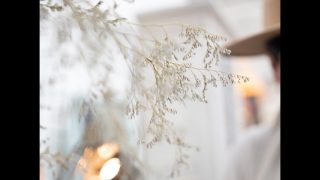 ホロサウ　満月　双子座　射手座　天王星　金星　12ハウス　未来　自分磨き　宇宙　エネルギー　5ハウス　11ハウス　スピリチュアル