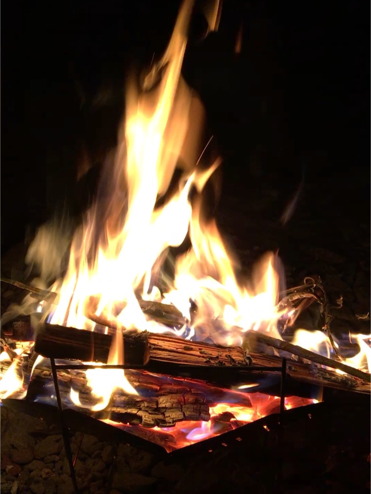 冬至 柚子湯 焚火　冬　火　薪