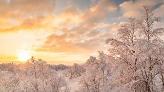 ほろさう　占い　占星術　2月　人間関係　悩み　恋活　婚活　恋愛　夫婦　仕事　天職　適職　性格　相性