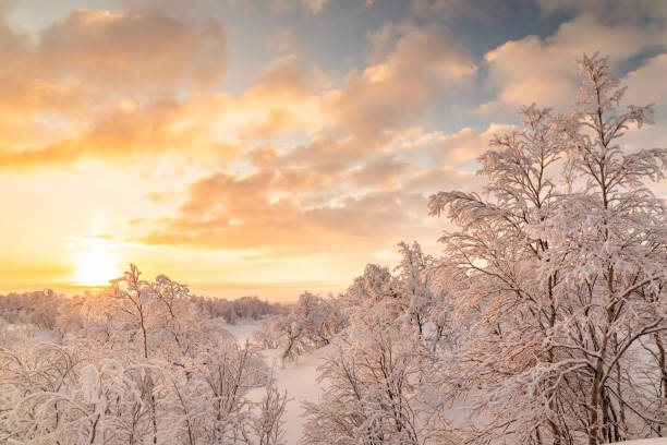 ほろさう　占い　占星術　2月　人間関係　悩み　恋活　婚活　恋愛　夫婦　仕事　天職　適職　性格　相性