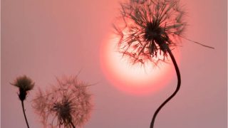 ほろさう　占い　占星術　３月　人間関係　悩み　恋活　婚活　恋愛　夫婦　仕事　天職　適職　性格　相性