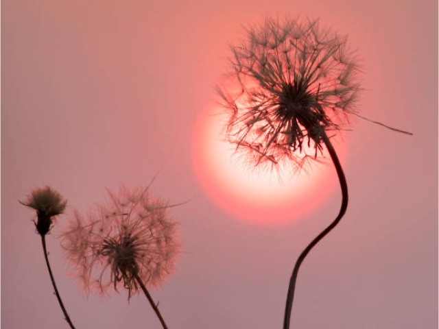 ほろさう　占い　占星術　３月　人間関係　悩み　恋活　婚活　恋愛　夫婦　仕事　天職　適職　性格　相性