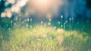 ほろさう　占い　占星術　４月　人間関係　悩み　恋活　婚活　恋愛　夫婦　仕事　天職　適職　性格　相性