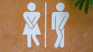 ほろさう　さう　ホロスコープ　占星術　心理　心　流星　星　相性　恋愛　結婚　夫婦　人生　新月　魚座　トイレ　尿意　解放　感情　濾過