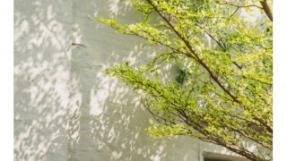 土公神様　神様　大つち　犯土　建築　伝統　ガーデニング　土いじり　心得え　ほろさう　さう　ホロスコープ　占星術　心理　心　流星　星　相性　恋愛　結婚　夫婦　人生　生き方　自然　九星気学