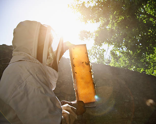 さう　ほろさう　風星座　占い　占星術　４月　人間関係　悩み　恋活　婚活　恋愛　夫婦　仕事　天職　適職　性格　相性　こころ　心理学　行動　アスペクト　コンジャンクション　8ハウス　性　相続　深い関係