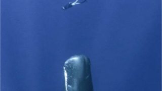 さう ほろさう 風星座 占い 占星術 5月 人間関係 悩み 恋活 婚活 恋愛 夫婦 仕事 天職 適職 性格 相性 こころ 心理学 行動 アスペクト トランジット キャンプ 焚き火 デジタルデトックス 魚座 木星 土星 海王星