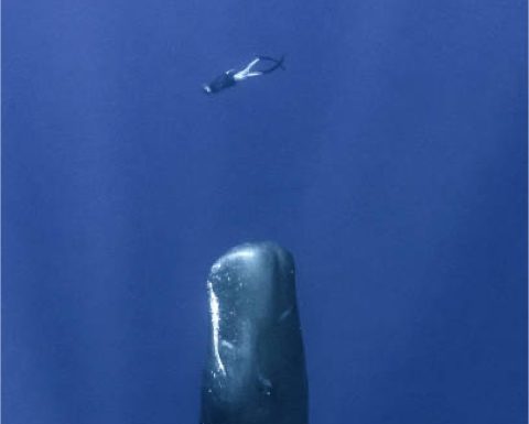 さう　ほろさう　風星座　占い　占星術　５月　人間関係　悩み　恋活　婚活　恋愛　夫婦　仕事　天職　適職　性格　相性　こころ　心理学　行動　アスペクト　トランジット　キャンプ　焚き火　デジタルデトックス　魚座　木星　土星　海王星